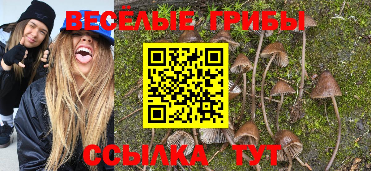 Псилоцибиновые грибы ЛСД Выкса